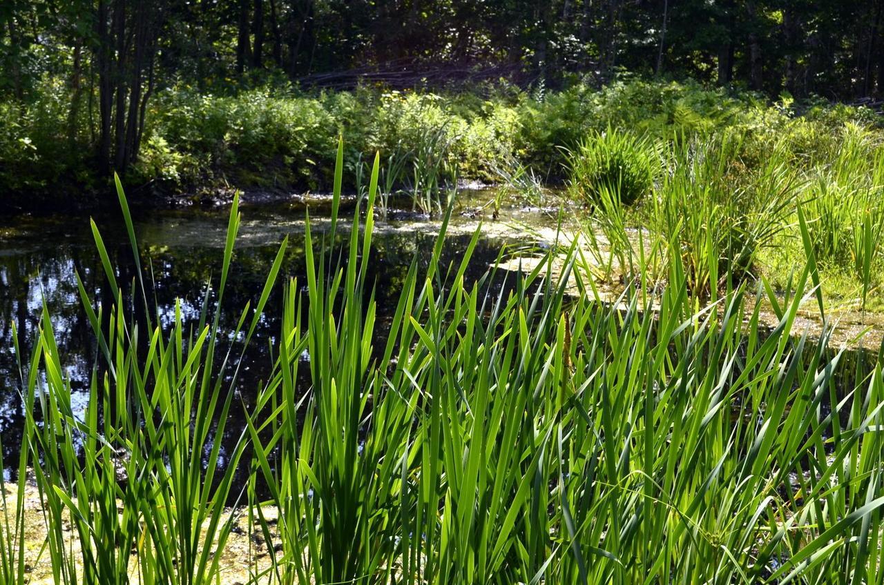 Still Point Lodge Deep Brook Luaran gambar